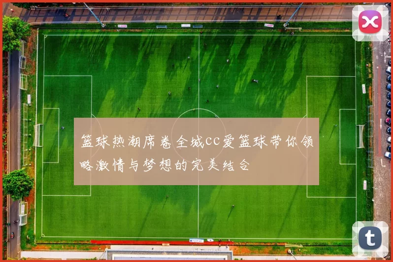 篮球热潮席卷全城cc爱篮球带你领略激情与梦想的完美结合