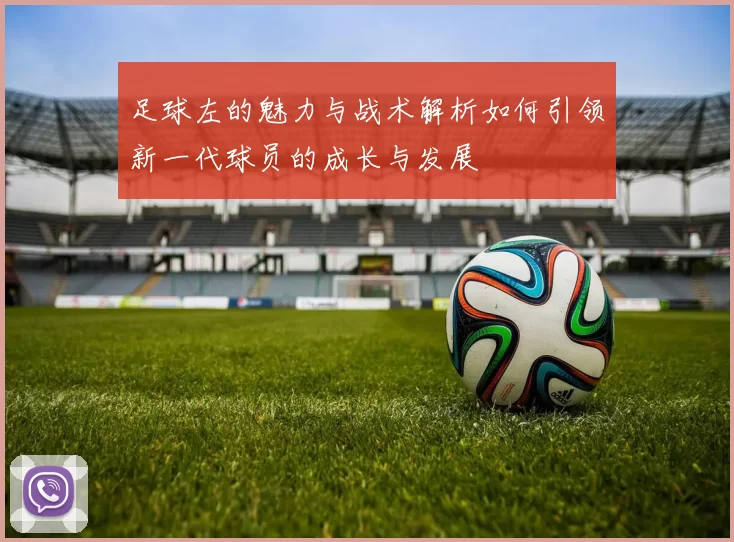 足球左的魅力与战术解析如何引领新一代球员的成长与发展
